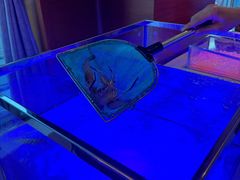 -马哥孛罗酒店·SAVVY全日餐厅
