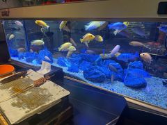 -黄鱼炙夜·烧烤·小龙虾(星荟广场店)