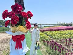 -杭州湾海上花田景区