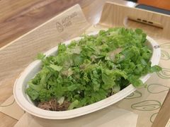 -油梨树 AVOCADO TREE(亮马桥店)