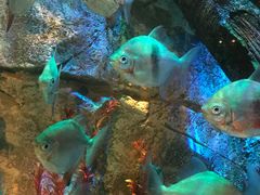 -沈阳海洋探索中心