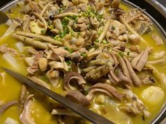 补气猪肚蛙-蛙小侠(珠海华发商都店)