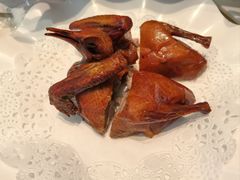 -九號渔港·蒸汽海鲜·粤菜茶点(八卦岭店)