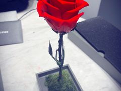 -ROSEONLY诺誓(青岛万象城店)