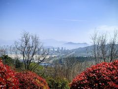-浮山香苑