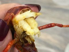 -聂师傅油焖大虾
