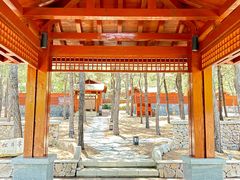 -东海森林温泉