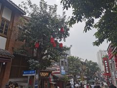 -重庆十八梯传统风貌区