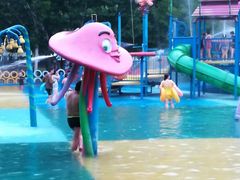 -奥帕拉拉水公园