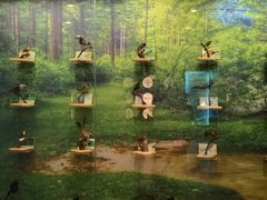 -下渚湖国家湿地公园科普馆