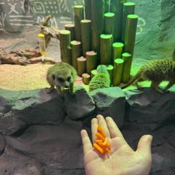 点击看大图 -Zoolung Zoolung动物主题公园(海信广场店)