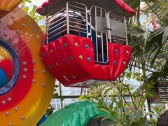 -南宫五洲植物乐园