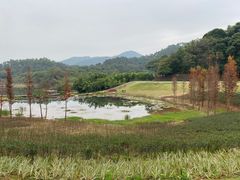 -国恩寺