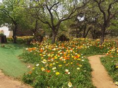 -名花谷生态庄园