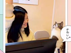 -猫音日语留学培训