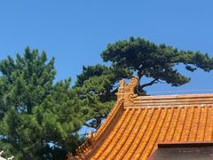 -妙峰山风景名胜区