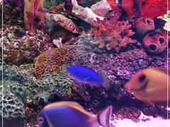 -沈阳海洋探索中心