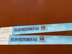 -南京银杏湖乐园