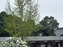 -戏马台景区