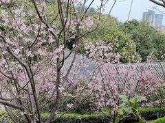 -小南山公园