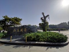 -张掖大佛寺景区