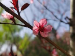 -北京奥林匹克公园
