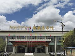 -西藏自治区图书馆
