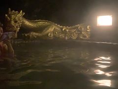 -明月山天沐温泉度假村