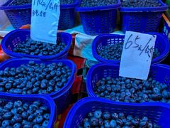 -五里多农博广场