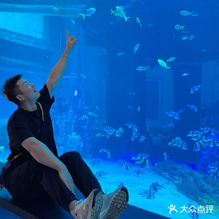 这个夏天这样玩｜大连老虎滩海洋公园攻略