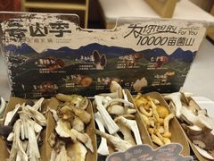 -芸山季·云南山珍菌火锅(南翔印象城MEGA店)