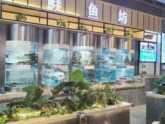 -老船舫·现做活鲜鱼馆(东郊记忆店)