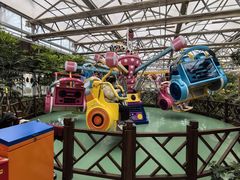 -南宫五洲植物乐园