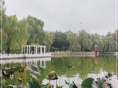 -丰台花园