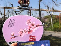 -顾村公园