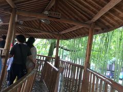 -杭州双溪漂流景区