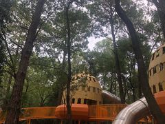 -东湖落雁景区