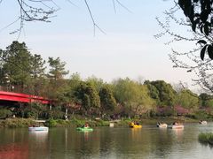 -青枫公园