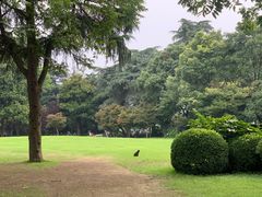 -星巴克(西湖天地店)