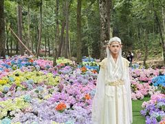 -洛阳白云山景区