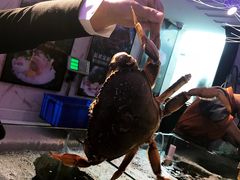 -蟹之国·精品蟹料理(极地店)