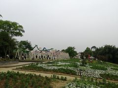 -都江堰玫瑰花溪谷