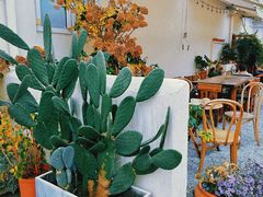 -AHAVA·Fang Baking Studio