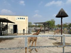 -苏州上方山国家森林公园