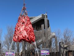 -帽儿山国家森林公园