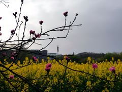 -贵阳市花溪国家城市湿地公园