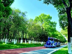 -艾溪湖湿地公园