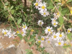 -野三坡刘家河高山漂流