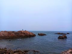 -小麦岛公园