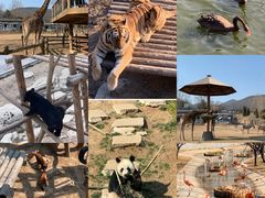 -大连森林动物园